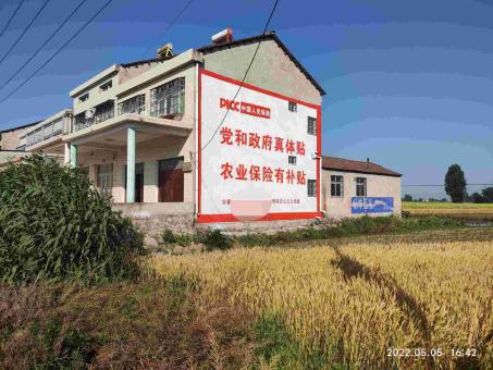 金平墙体广告多少钱一平