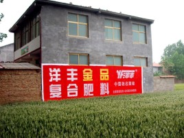 金平如何让墙体广告展现最大化效果