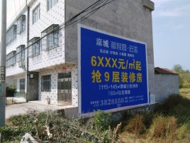 金平墙体广告质量分析