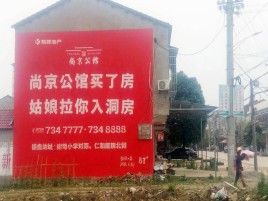 金平墙体广告在乡镇、农村市场的媒体优势