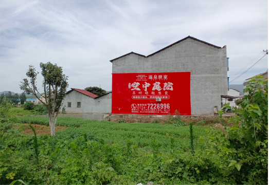 金平做墙体广告的意义