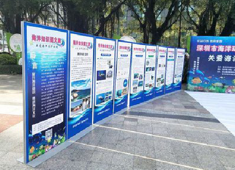 金平KT板的种类和知识。